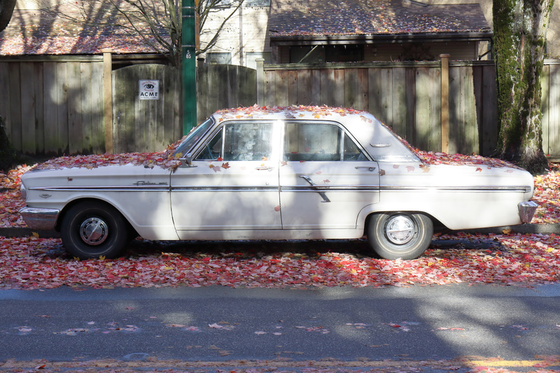 Illustration for article titled Pics from the Curbside (and others) - November 2018